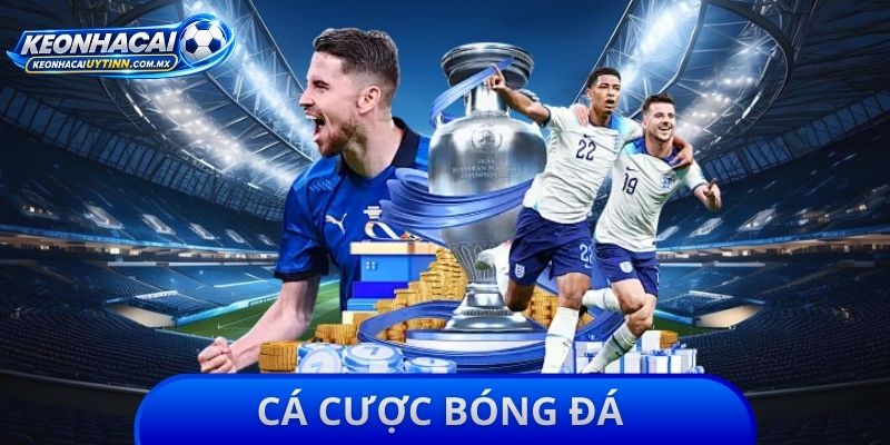Cá Cược Bóng Đá