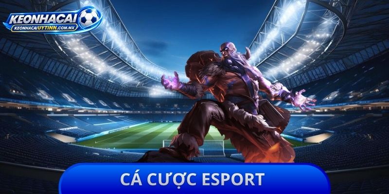 Cá Cược Esport