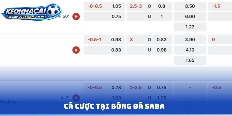 Cá cược tại bóng đá Saba