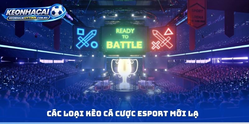 Các loại kèo cá cược Esport mới lạ