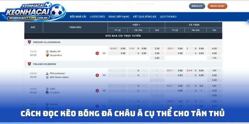 Cách đọc kèo bóng đá Châu Á cụ thể cho tân thủ