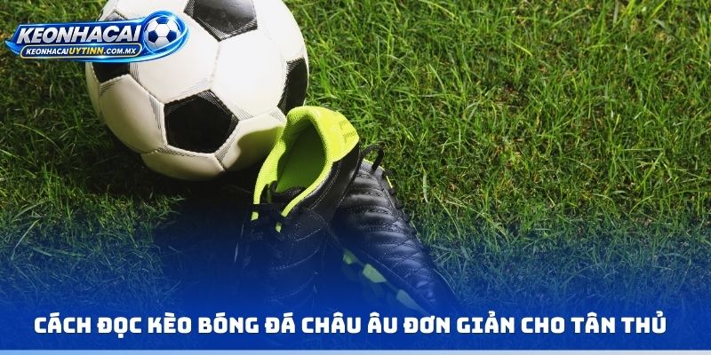 Cách đọc kèo bóng đá Châu Âu đơn giản cho tân thủ