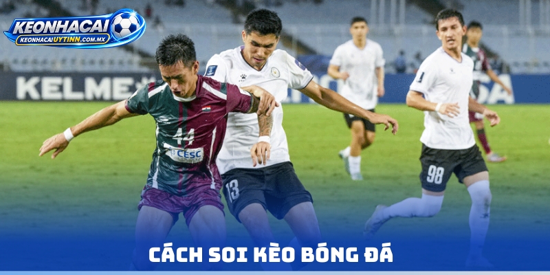 Cách soi kèo bóng đá