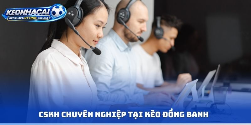 CSKH chuyên nghiệp tại kèo đồng banh