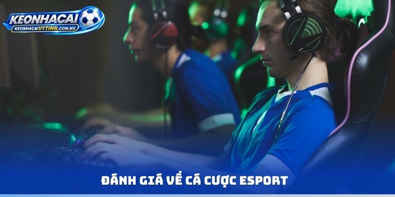 Đánh giá về cá cược Esport