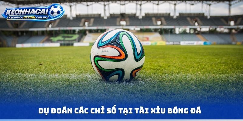 Dự đoán các chỉ số tại tài xỉu bóng đá
