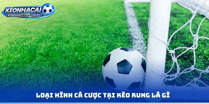 Loại hình cá cược tại kèo rung là gì