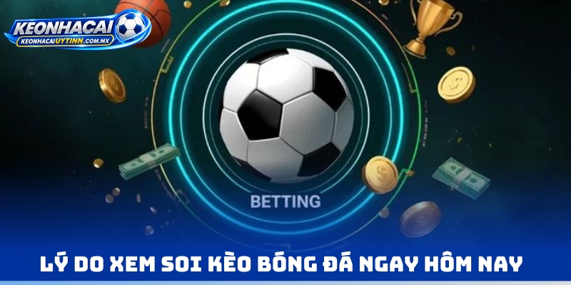 Lý do xem soi kèo bóng đá ngay hôm nay
