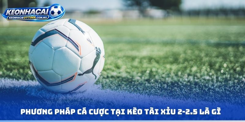 Phương pháp cá cược tại kèo tài xỉu 2-2.5 là gì