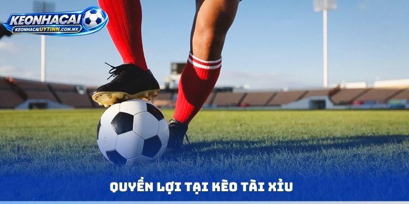 Quyền lợi tại kèo tài xỉu