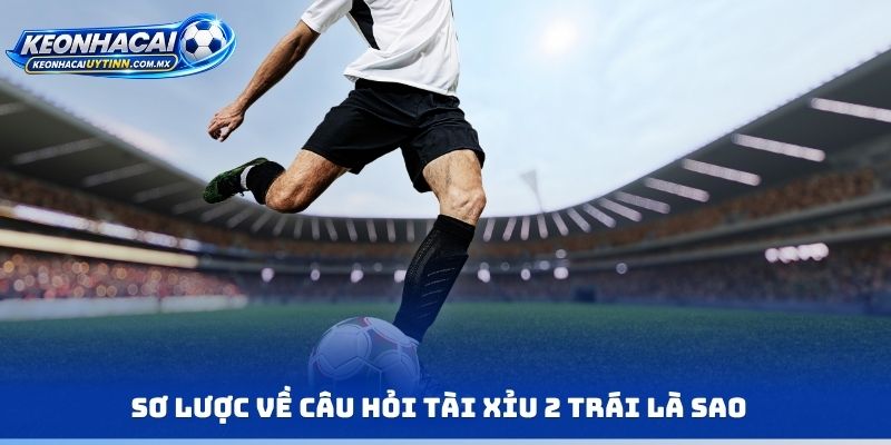 Sơ lược về câu hỏi tài xỉu 2 trái là sao