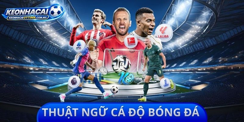 Thuật Ngữ Cá Độ Bóng Đá