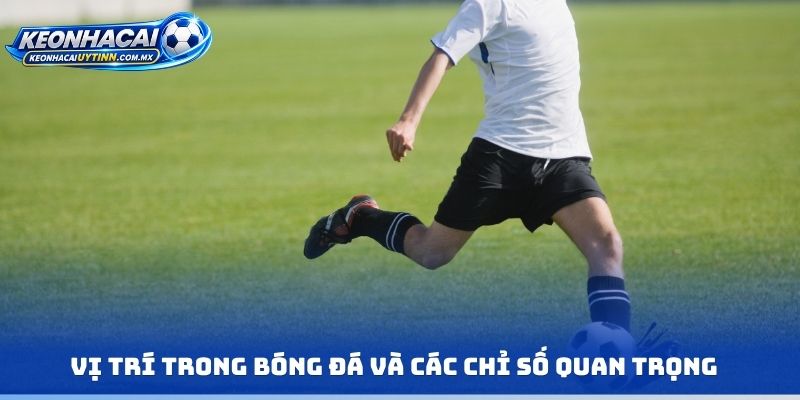 Vị trí trong bóng đá và các chỉ số quan trọng