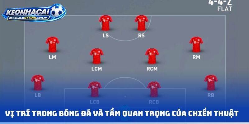 Vị trí trong bóng đá và tầm quan trọng của chiến thuật